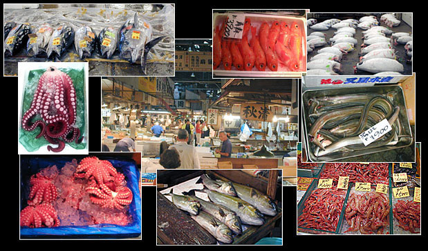 Tsukiji Fish Market