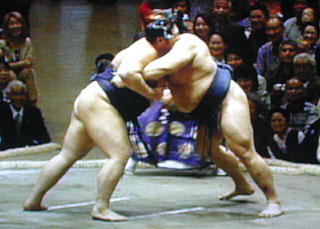 Sumo